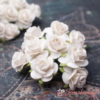 Букет роз Open Roses 20мм шампань, 10шт