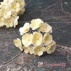 Букет Sweetheart бежеві, 10шт