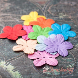 Набір квітів П'ятлистник 4см Мікс, 10шт