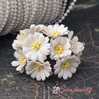 Букет гвоздичок білий, 10шт