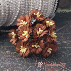 Букет гвоздичок темно-коричневий, 10шт