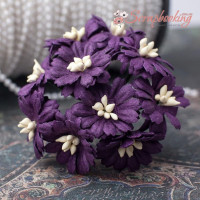Букет гвоздичек темно-фиолетовые, 10шт