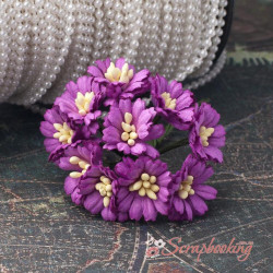 Букет гвоздичок фіолетовий, 10шт