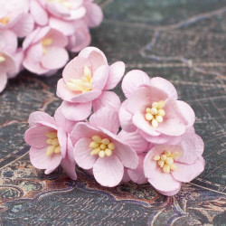 Букет квітів вишні рожеві світлі, 5шт