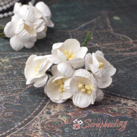 Букет квітів вишні білі, 5шт