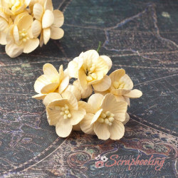 Букет квітів вишні кремові, 5шт