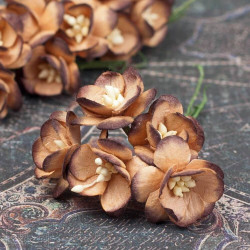 Букет квітів вишні коричневі з підпалиною, 5шт