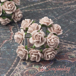 Букет троянд Open Roses 10мм какао, 10шт