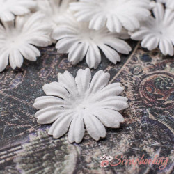 Набір квітів квітка біла мк-176 26мм, 10шт