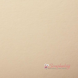 Дизайнерський картон 20*30см Матовий Кремовий Сover Board Classic 270гр/м2