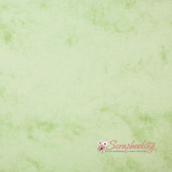 Дизайнерський картон А4 Мармур Світло-зелений Marble Cover 200гр/м2