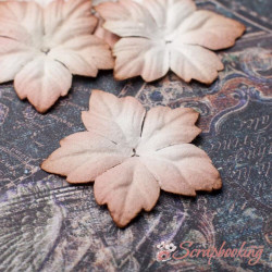 Набір квітів П'ятлистник Кленовий 4см кава з молоком, 5шт