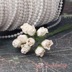 Букет троянд Rosebuds шампань, 10 шт