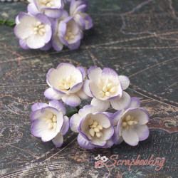 Букет квітів вишні біло-фіолетові, 5шт