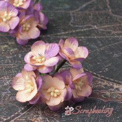 Букет квітів вишні кремово-фіолетові, 5шт