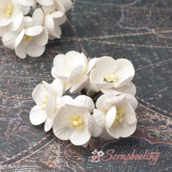 Букет квітів вишні шампань, 5шт