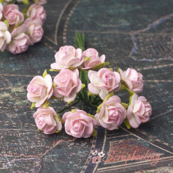 Букет троянд Open Roses 10мм шампань/ніжно-рожева, 10шт