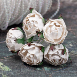 Букет троянд English Roses 30мм шампань, 5шт