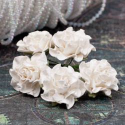 Букет троянд Tuscany Roses 30мм шампань, 5шт