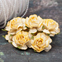 Букет троянд Tea Roses 40мм кремовий, 5шт