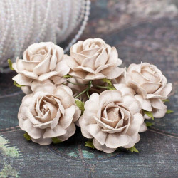 Букет троянд Tea Roses 40мм латте, 5шт