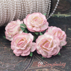 Букет троянд Tea Roses 40мм біло-рожевий, 5шт