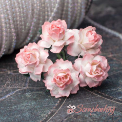 Букет троянд Cottage Roses 25мм біло-коралові, 5шт