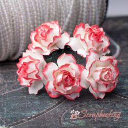 Букет троянд Cottage Roses 30мм біло-червоні, 5шт