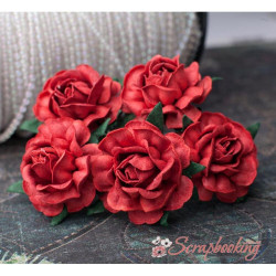 Букет троянд Tea Roses 40мм червоні, 5шт