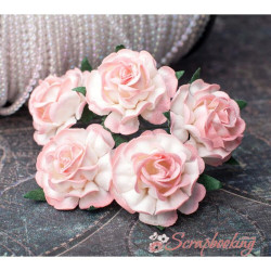 Букет троянд Tea Roses 40мм біло-коралові, 5шт