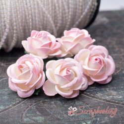 Букет троянд Chelsea Roses 35мм біло-рожевий, 5шт