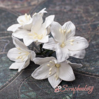 Букет лілій 35мм білий, 5шт