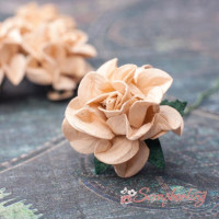 Троянда Tuscany Roses 30мм персиковий, 1шт