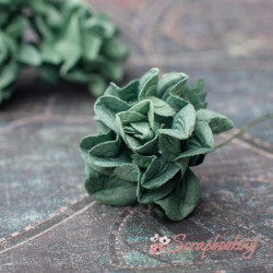 Троянда Tuscany Roses 30мм оливковий, 1шт