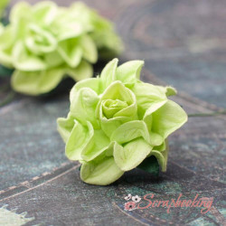 Троянда Tuscany Roses 30мм салатовий, 1шт