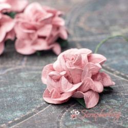 Троянда Tuscany Roses 30мм рожевий, 1шт