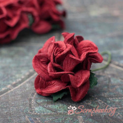 Троянда Tuscany Roses 30мм бордовий, 1шт