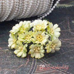 Букет гвоздичок салатовий світлий, 10шт