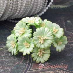 Букет гвоздичок зелений світлий, 10шт