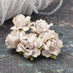 Букет троянд Cottage Roses 25мм латте, 5шт