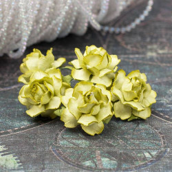 Букет троянд Cottage Roses 25мм лайм, 5шт