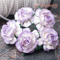 Букет троянд Tea Roses 40мм фіолетовий ніжний, 5шт