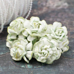 Букет троянд Tea Roses 40мм оливковий світлий, 5шт