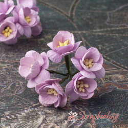 Букет квітів вишні фіолетові світлі, 5шт