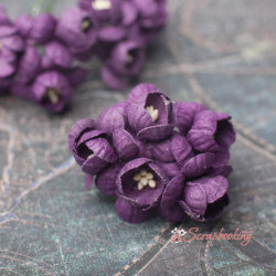 Букет квітів вишні сливовий, 5шт