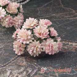 Букет астр біло-рожевий, 10шт