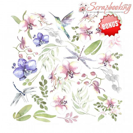 Набір паперу 20*20см Фабрика декору Wild orchid,10аркушів