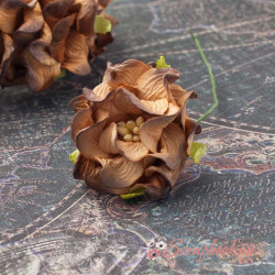 Гарденія бутон 3,5см коричневий, 1шт