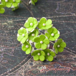 Букет Sweetheart салатовий, 10шт