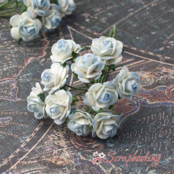 Букет троянд Open Roses 10мм блакитний світлий, 10шт